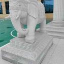 淮南 白麻花岗岩动物异形石雕-大象