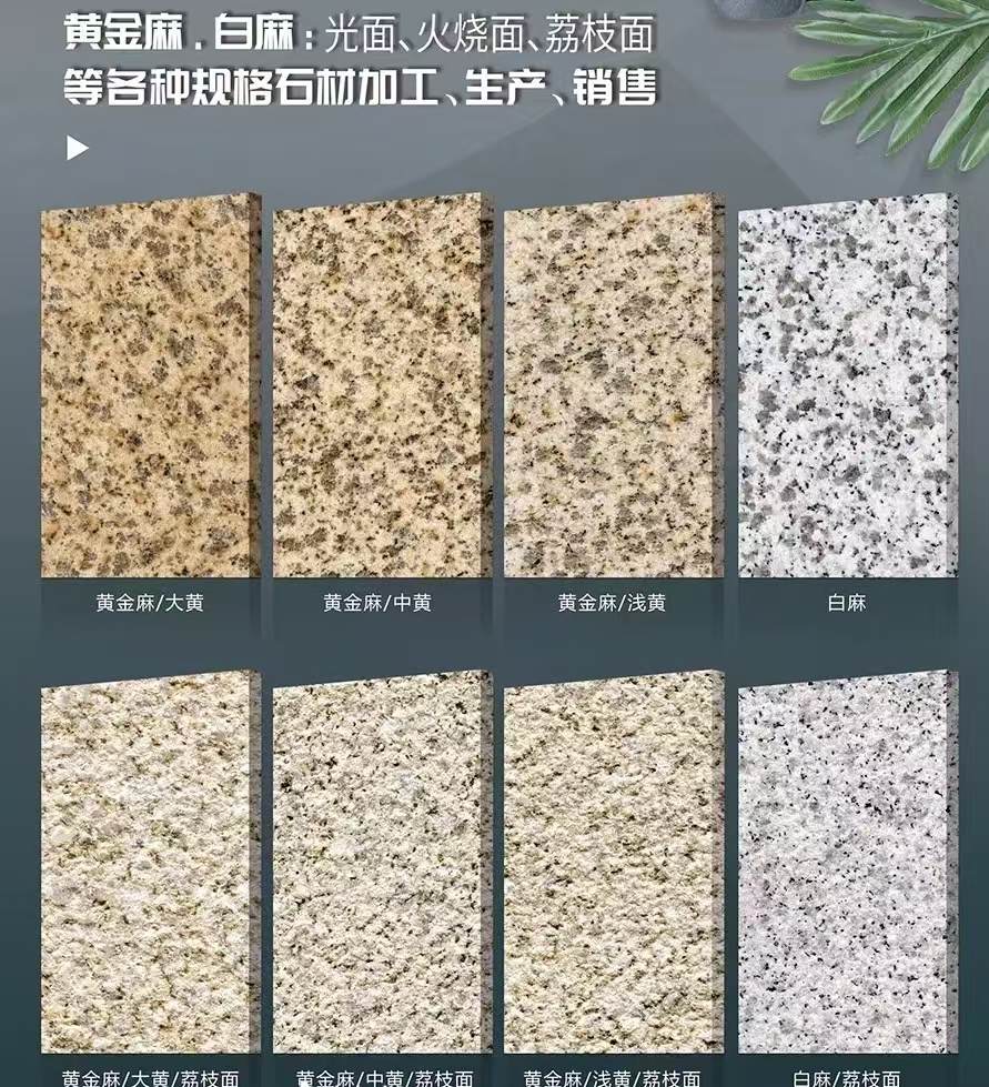 淮南 黄金麻白麻样品展示